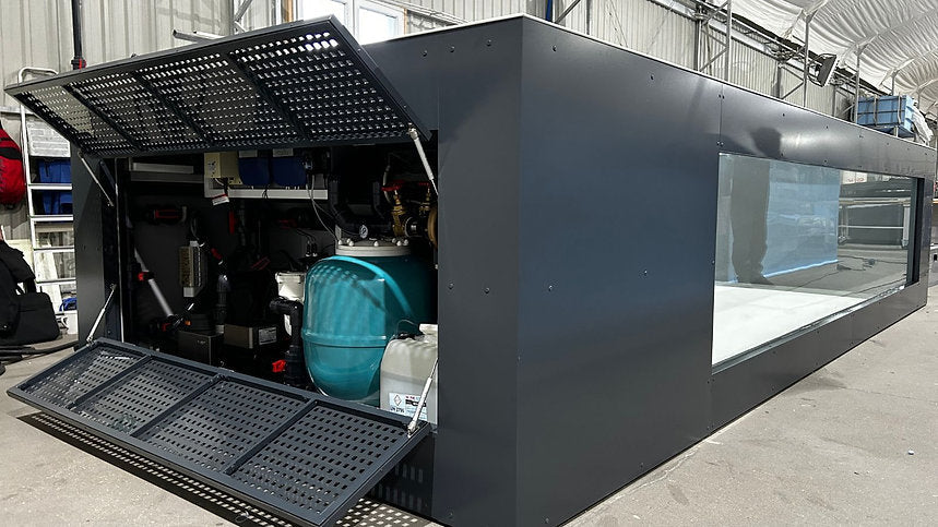 Piscine en polypropylène de 6,5 m x 2,5 m avec une fenêtre de 4 m